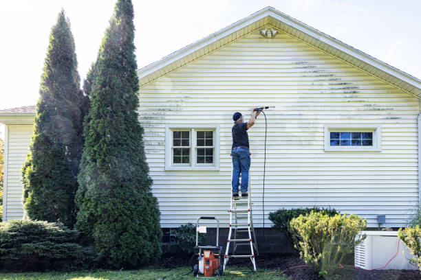 Best Driveway Pressure Washing  in North Druid Hills, GA